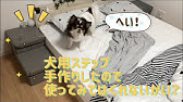 小型犬 高齢犬向け 15分diy 100均ブロックのお手軽ステップで愛犬の身体の負担を減らしてあげよう はじめてわんこdiy Youtube 小型犬 高齢犬向け 15分diy 100均ブロックのお手軽ステップで愛犬の身体の負担を減らしてあげよう はじめてわんこdiy Youtube
