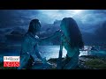 James Cameron Hopes to Expand the 'Avatar' Franchise to Animation | THR News