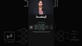 Weight Updates When Testing? 🧮 - Last Step Before Production 🔢 - Topic 154 #ai #ml