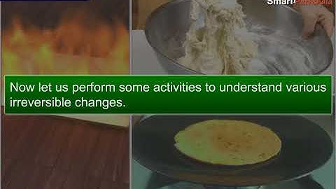 Cl6 Ch6 M3 Irreversible Changes