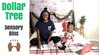 Sensory Bins | Dollar Tree Haul | Preschool Homeschool