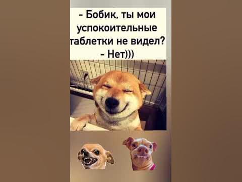 юмор😄😆👍 - YouTube
