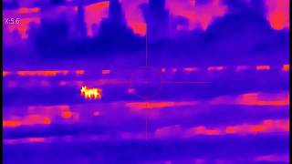 Why Hunters Choose Mars MT1000LRF
