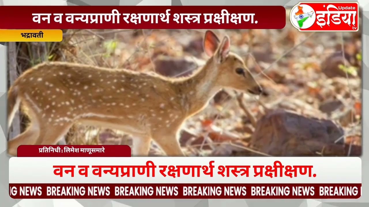 वन व वन्यप्राणी रक्षणार्थ शस्त्र प्रक्षीक्षण.* वरिष्ठांच्या आदेशाने भद्रावती वनपरिक्षेत्र अधिकारी 