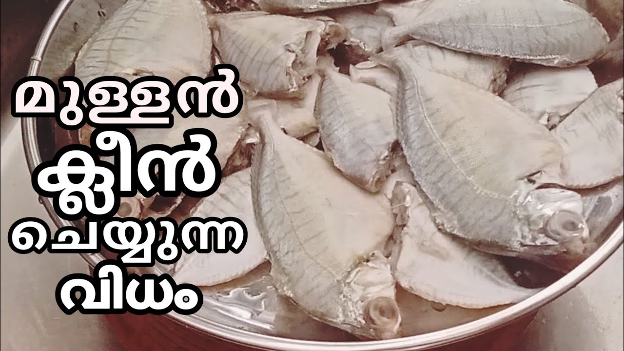 മുള്ളൻ ക്ലീൻ ചെയ്യുന്ന വിധം 🐟 👍           How toclean codfish | Kerala style Mullan fish recipe 