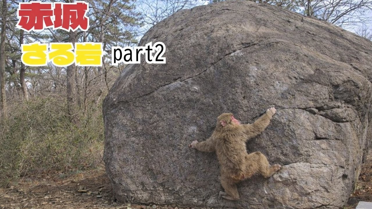 赤城ボルダー　さる岩 part２ 見ざる聞かざる登るサル