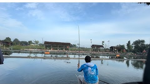 CÂU RÔ PHI HỒ DỊCH VỤ