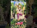 Cold coffee #udaipur #coldcoffee #coffee #shortvideo #shorts #trending #trendingreels #trend