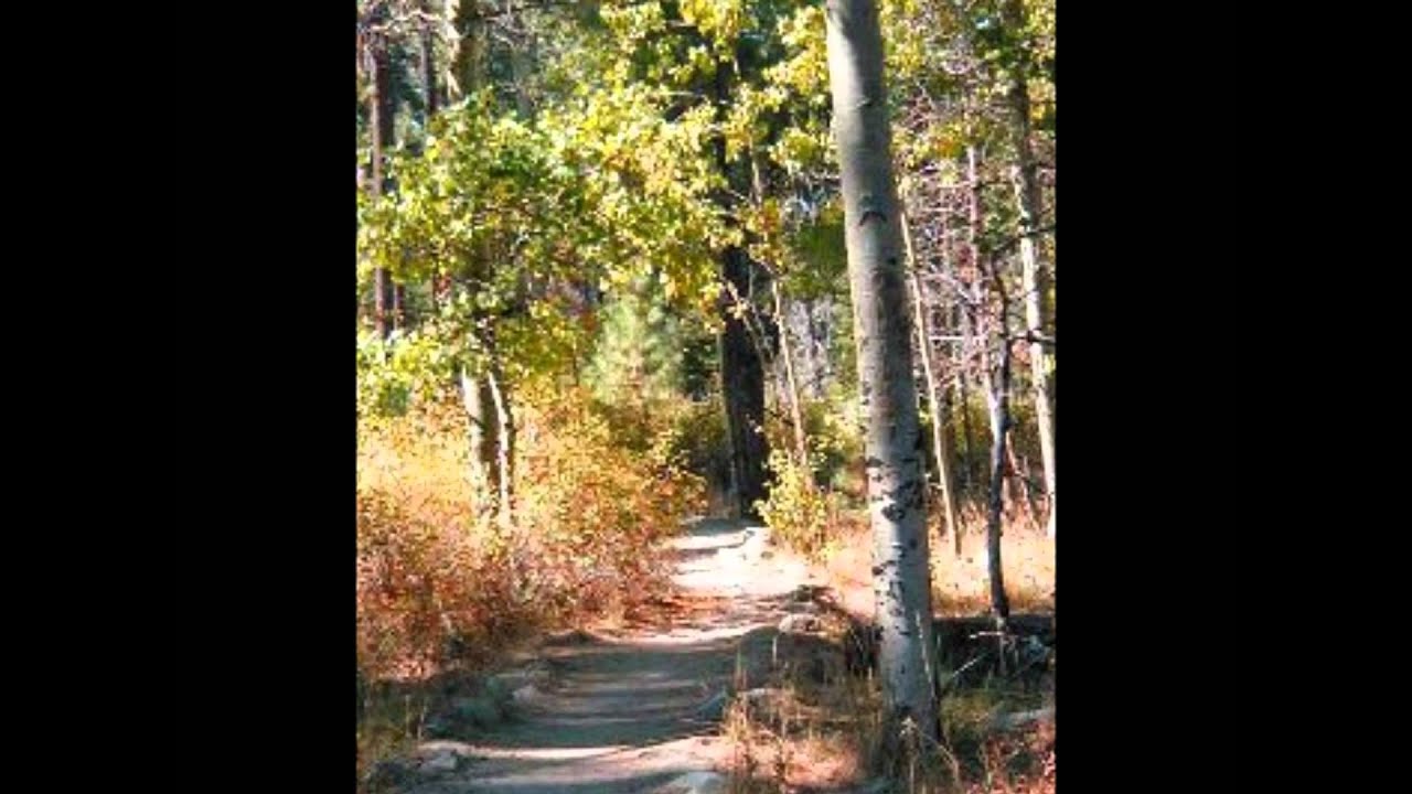 Tahoe Movie.wmv YouTube