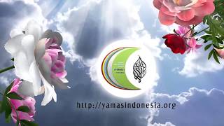 Balik Ke Pangkal Jalan - Bagian1