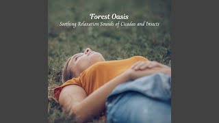 Insect Chorus Oasis