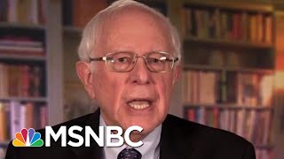 Bernie Sanders Joins Long List Of 2020 Democratic Candidates | Velshi \& Ruhle | MSNBC