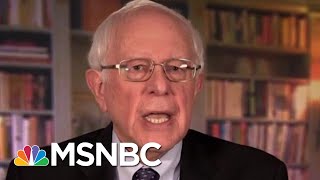 Bernie Sanders Joins Long List Of 2020 Democratic Candidates Velshi & Ruhle Msnbc