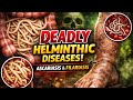 Helminthic | Ascariasis | Filariasis | fungal diseases | prevention