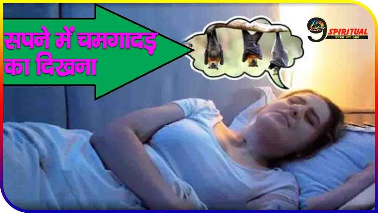 bat-in-dream-meaning