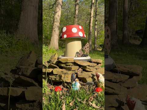 Beautiful Song About Love and Peace… #shorts #funny #song #comedy #lol #music