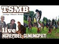 Tsmb turonggo sembrani mbangun budoyo live ngrembel gunungpati 05 mei 2024