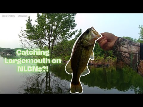 Bank Fishing for Largemouth Bass on NLBN Swimbaits. Plus New Boat!!