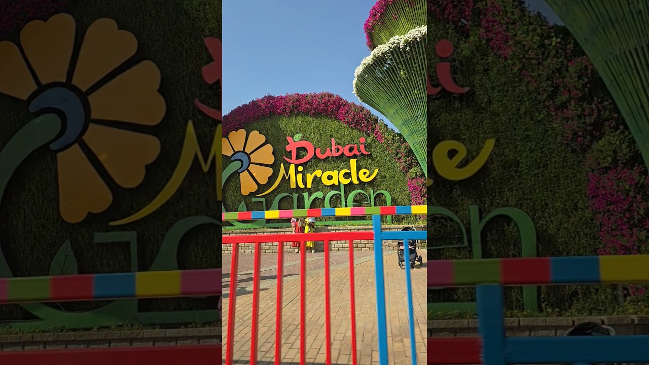 Dubai Miracal Garden 