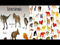 ARBS Battles:extinct animal vs alive animals(+reptiles)