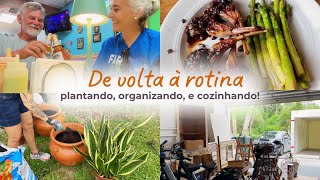 Como estão as coisas por aqui? Plantando, organizando e cozinhando!