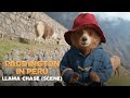 PADDINGTON IN PERU – Llama Chase (Scene)