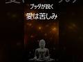 ブッダが説く〜愛は苦しみである〜