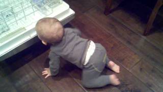 Noah with his army crawl