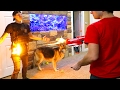 INSANE FLAMING NERF FIRE!!