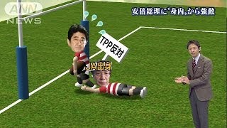 安倍総理に身内のTPP反対派から