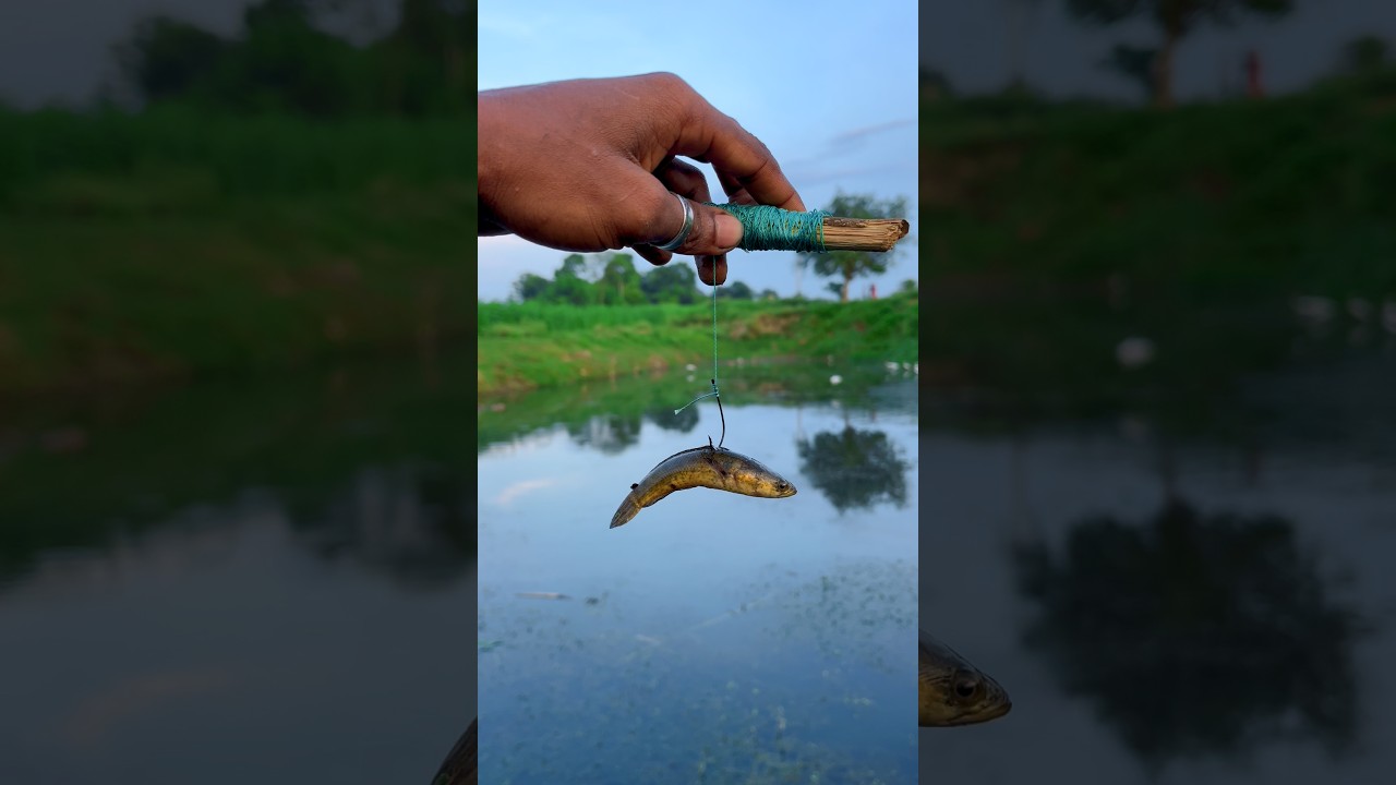 মাছ দিয়ে মাছ ধরতেগিয়ে আমার সাথে কি হলো🐟🤔(1425) hook fishing video in village #hook_fishing