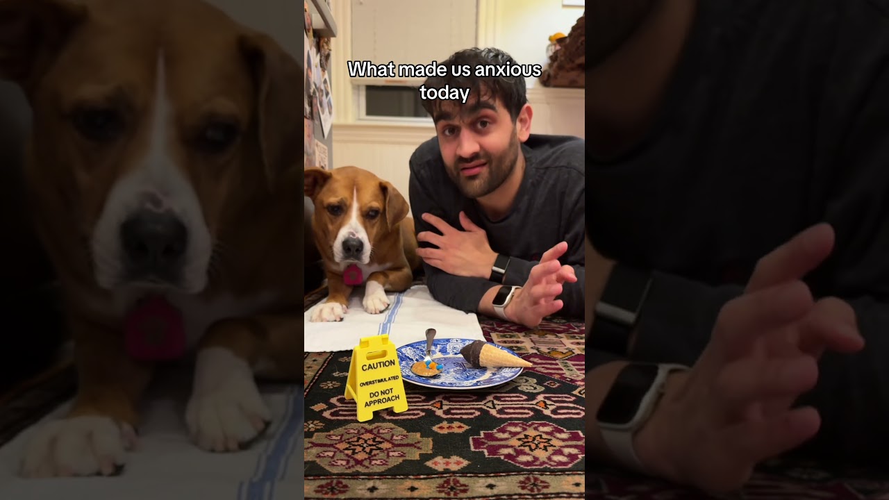 Кэмми обожает ароматизированный снег 