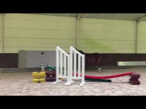 Kiekeboe Picobello Z first jumps Kiekeboe Picobello Z first jumps