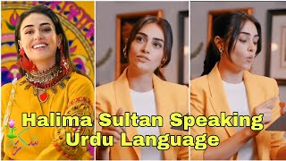 Halima Sultan Surprised All Of Fans By Speaking Urdu Ersa Bilgic Speaking Urdu Language