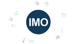IMO HIMSS21 promotional video