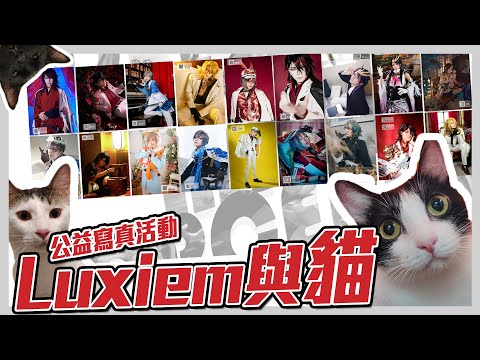 Luxiem 與他們的貓 | Luxiem and cats | charity photobooks 公益寫真| cosplay | 貓藝家【Alma終於有頻道】