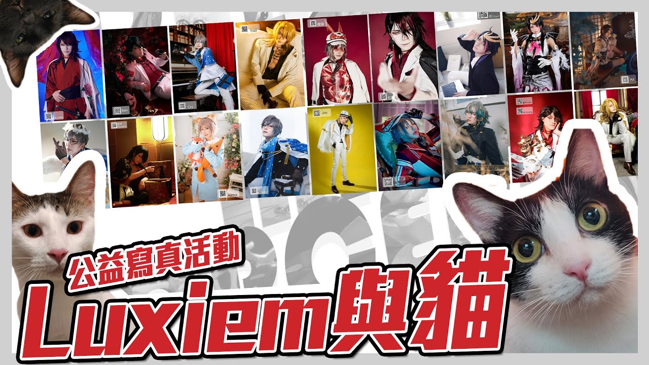 Luxiem 與他們的貓 | Luxiem and cats | charity photobooks 公益寫真| cosplay | 貓藝家【Alma終於有頻道】