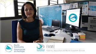 SPC Innovation: ReefLex, a web app on coastal fisheries and aquaculture legislation screenshot 4
