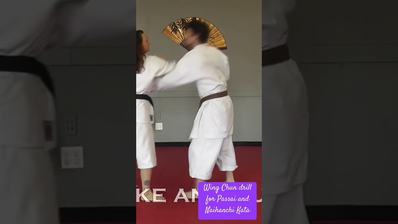 A Take on Passai and Naihanchi with Wing Chun Drills 