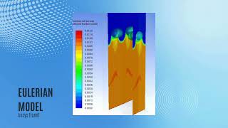 Celebrity Ansys Fluent : Eulerian Model Net Worth