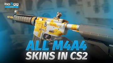 CS2 ALL M4A4 Skins  - M4A4 Skins Showcase