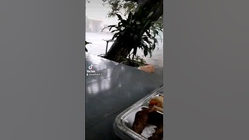 hạt cơm chan trong nước mắt buồn ai thấu...#đờicôngnhân #xuhuongtiktok