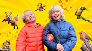 Autumn Animals: How Nature Prepares for Winter | Animal Stories with Sky and Finn