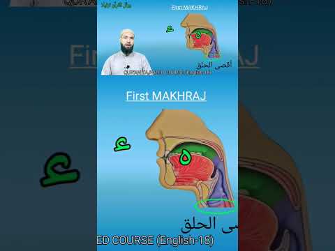 مخرج حمزه و حا ء ه القصه حلق انگلیسی آموزش قرآن عربی کوتاه تجوید