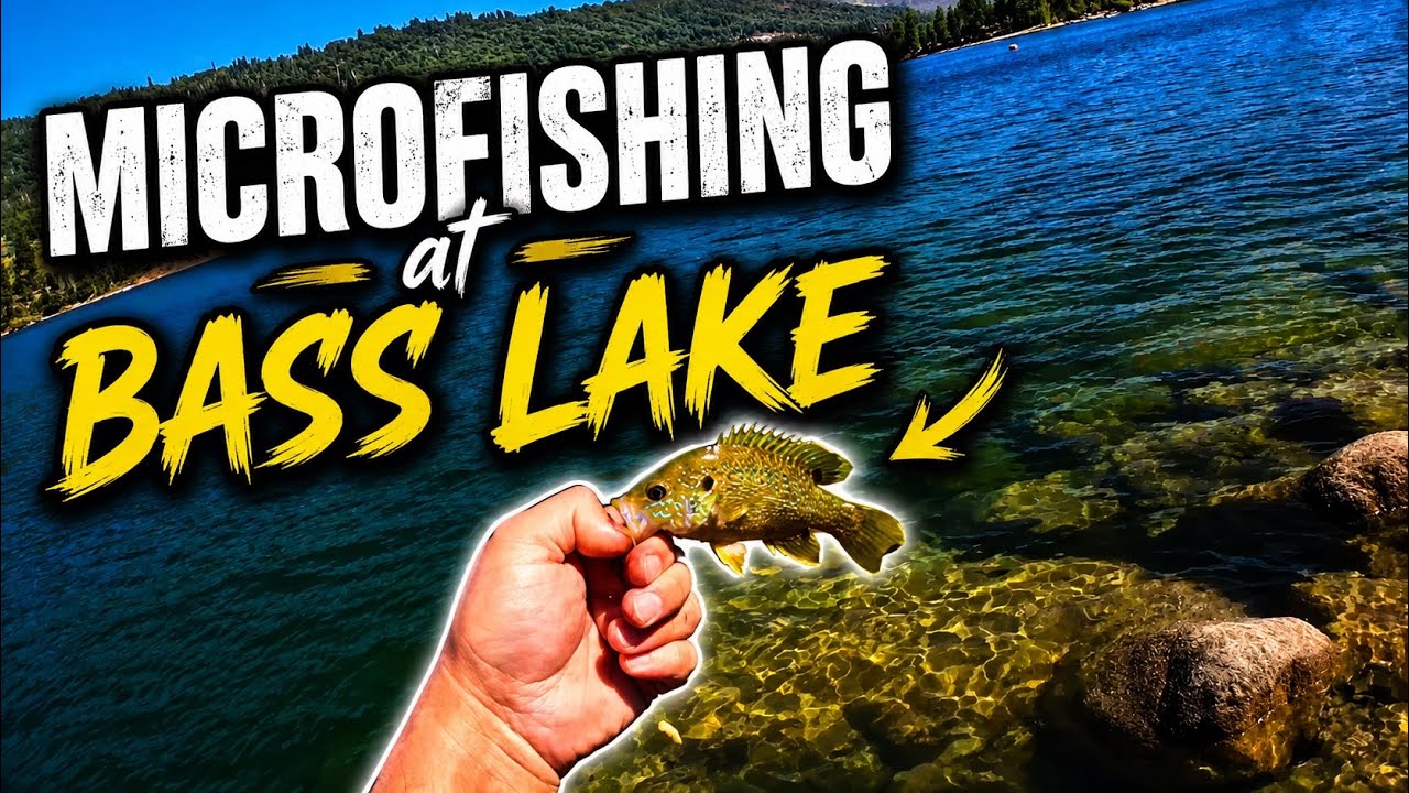 MICROFISHING at BASS LAKE
