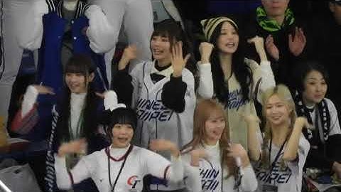 【熱狂7分間】台湾チア来日＆チャンスで爆盛り上がり😍可愛すぎる応援団に日本、台湾のファンが殺到してしまう！　WBSC Premier12 東京ドームJapan vs Taiwan