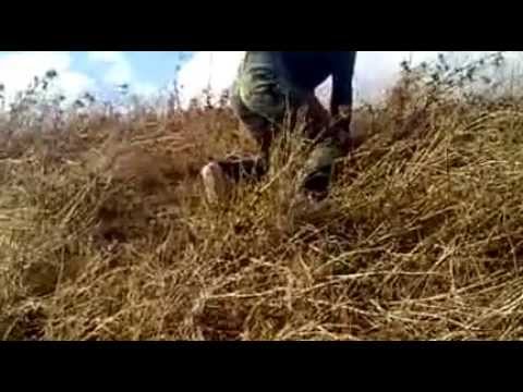 الفيلق الاول القائد جهاد الحسنو فرزات وعمليلة التسلل وضرب كتيبة دير فول شرق الرستن