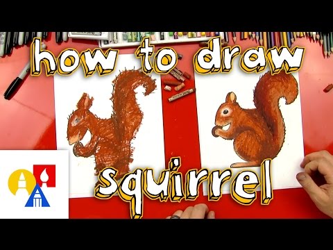 Video: How To Draw A Squirrel