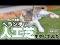 【人工芝】ベランダに人工芝を生やしてみた!!水はけ対策も‼（140日目）
