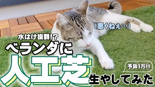 【人工芝】ベランダに人工芝を生やしてみた!!水はけ対策も‼（140日目）